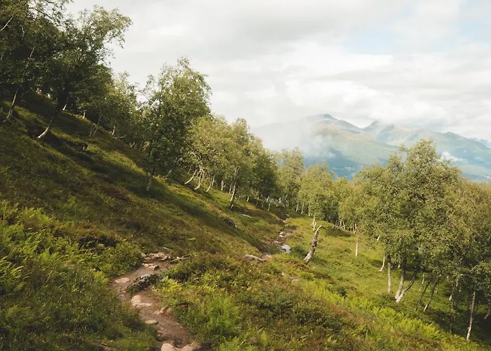 7 Min To Fjord - Alpine In